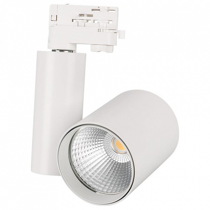 Трековый светодиодный светильник Arlight LGD-Shop-4TR-R100-40W Warm SP2900-Meat 026288 - 0