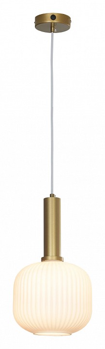 Подвесной светильник Lussole Ondulati LSP-8354 - 2