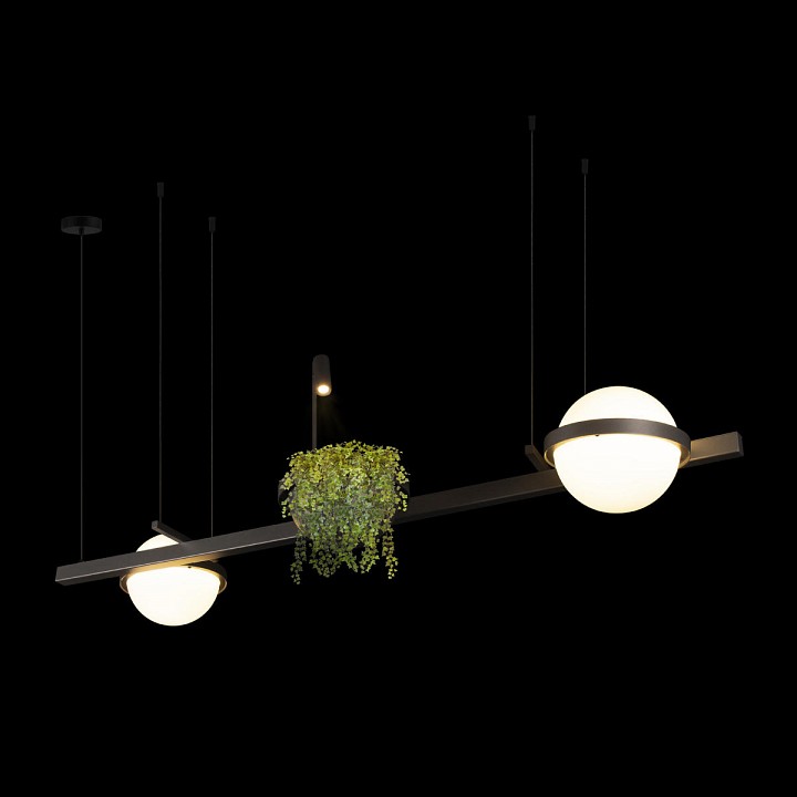 Подвесной светильник Loft it Jardin 10121/D Dark grey - 3