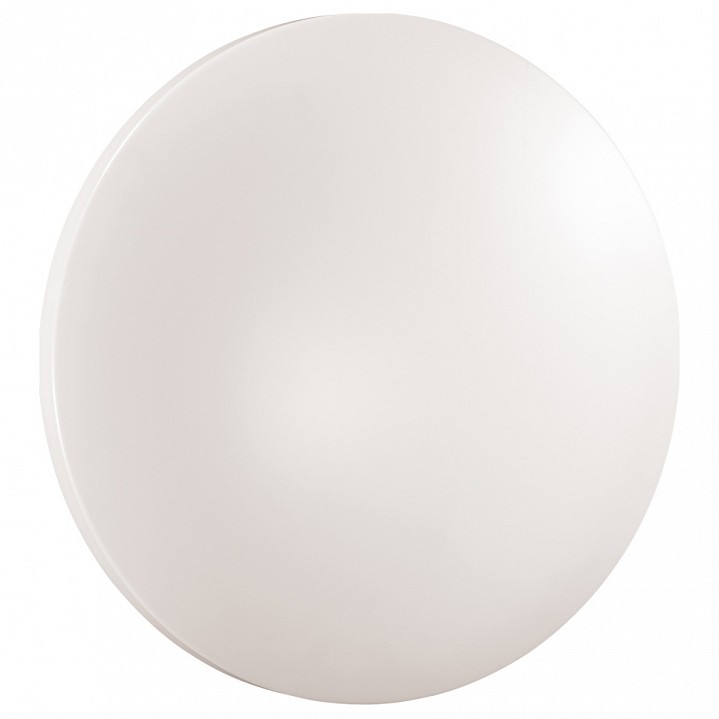 Настенно-потолочный светильник Sonex Pale Simple 3017/EL - 0