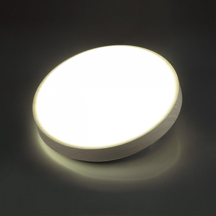 Настенно-потолочный светодиодный светильник Sonex Losta 7628/DL - 1