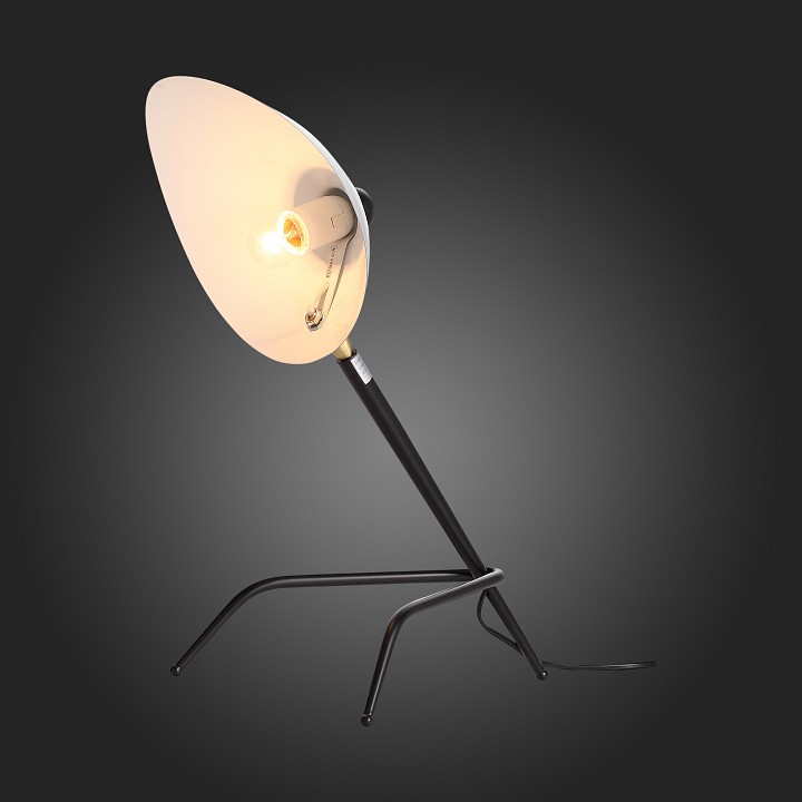 Настольная лампа декоративная ST-Luce Spruzzo SL305.404.01 - 4