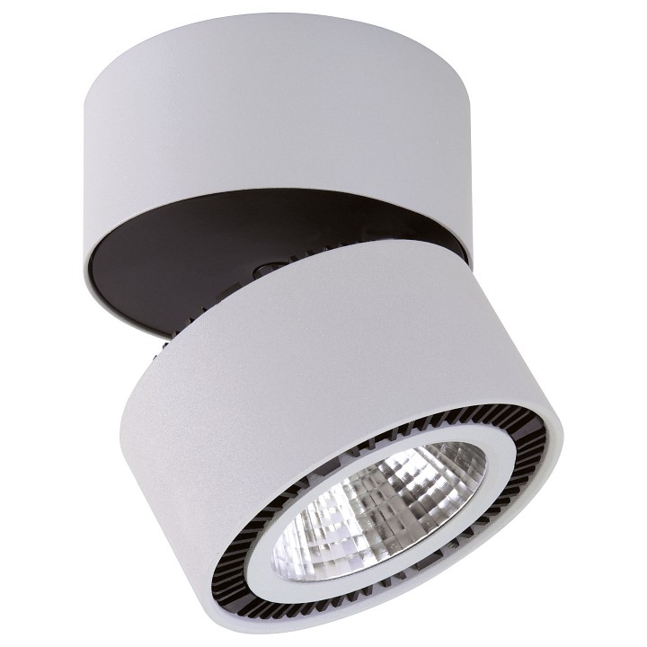 Трековый светодиодный светильник Lightstar Forte Muro (592066+213830) A1T213830 - 0