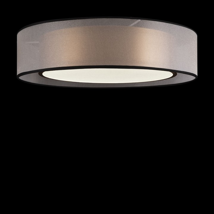 Потолочный светодиодный светильник Freya Zoticus FR6005CL-L36G - 1