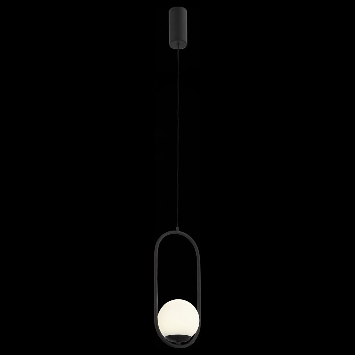 Подвесной светильник ST-Luce Donolo SL395.403.01 - 1