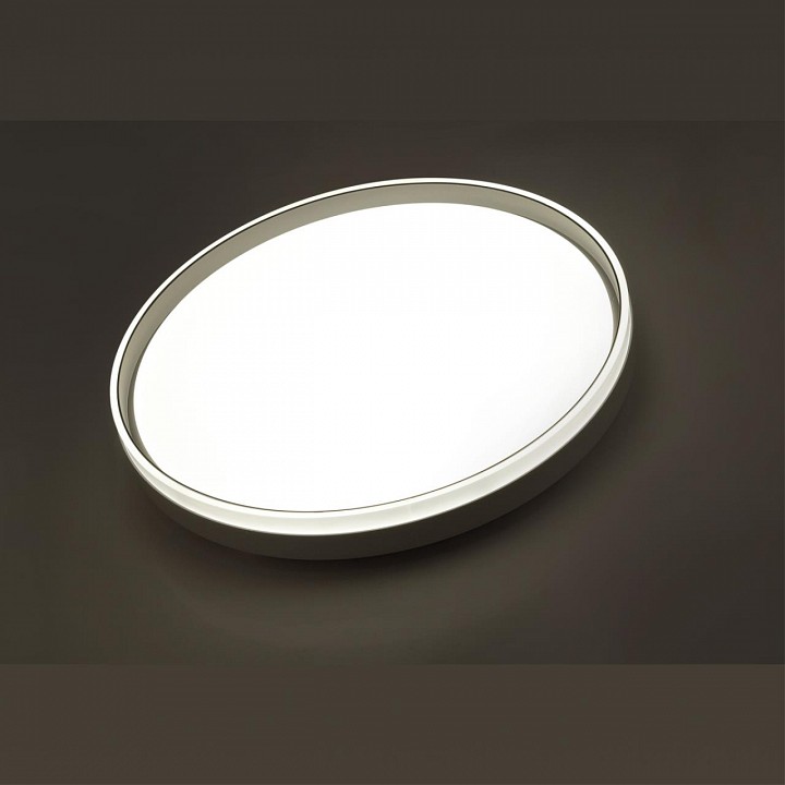 Настенно-потолочный светодиодный светильник Sonex Savi 7631/DL - 1
