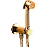 Гигиенический душ Bossini Nikita Mixer Set со смесителем золото E37008B