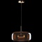 Подвесной светодиодный светильник Loft IT Dauphin 10040B - 3