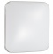 Настенно-потолочный светильник Sonex Tan Lona 3020/DL - 0