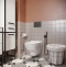 Гигиенический душ STWORKI by Damixa Хельсинки HFHS52030 со смесителем, С ВНУТРЕННЕЙ ЧАСТЬЮ, черный, встраиваемый, настенный, матовый - 2