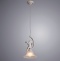 Подвесной светильник Arte Lamp Amur A1133SP-1WG - 1