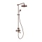 Swedbe Terracotta Art Семейный душ с термостатическим смесителем для ванны 2570 - 0