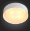 Накладной светильник ST-Luce Chio SL392.502.04 - 3
