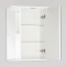 Зеркало-шкаф Style Line Эко Стандарт Николь 50/С белый ЛС-00000116 - 1