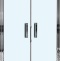 Душевая дверь в нишу Weltwasser WW600 600K2-90 90х185 хром  10000002734 - 0