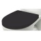Крышка-сиденье Roca Victoria Nord Black Edition ZRU9302627 с микролифтом, петли хром - 0