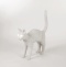 Зверь световой Seletti Cat Lamp 15040 - 6