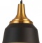 Подвесной светильник Escada Aries 1102/1S - 0