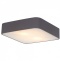 Потолочный светильник Arte Lamp Cosmopolitan A7210PL-2BK - 0