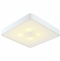 Потолочный светильник Arte Lamp Cosmopolitan A7210PL-4WH - 0