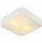 Потолочный светильник Arte Lamp Cosmopolitan A7210PL-2WH - 0