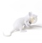 Зверь световой Seletti Mouse Lamp 15222 - 4