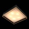 Накладной светильник ST-Luce Chodo SL1127.422.05 - 6