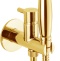 Гигиенический душ Webert EL870302010ANTIC золото, со смесителем, С ВНУТРЕННЕЙ ЧАСТЬЮ - 0