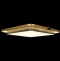 Потолочный светодиодный светильник Loft IT Mike 10172 - 3