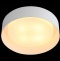 Накладной светильник ST-Luce Chio SL392.502.04 - 1