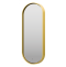 Зеркало Brevita Saturn 50x115 с подсветкой, золото  SAT-Dro1-050-gold - 2