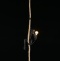 Подвесной светильник Aployt Magali APL.309.16.01 - 2