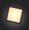 Накладной светильник ST-Luce Cubista SL077.402.01 - 1