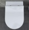 Унитаз подвесной Allen Brau Priority безободковый с сиденьем микролифт белый - 12
