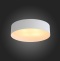 Накладной светильник ST-Luce Chio SL392.502.04 - 4