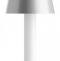 Настольная лампа декоративная Maytoni Tet-a-tet MOD104TL-3AGR3K - 0