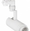 Трековый светодиодный светильник Arlight LGD-Zeus-4TR-R67-10W Warm3000 024604(1) - 0