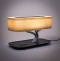 Настольная лампа Citilux Ньютон CL803042 - 3