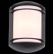 Накладной светильник ST-Luce Agio SL076.401.01 - 3