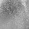 Шторка на ванну BelBagno Uno 90х150 профиль хром стекло рифленое  UNO-V-1-90/150-CH-CR - 2