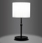Настольная лампа декоративная Eurosvet Notturno 01162/1 черный - 1