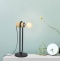 Настольная лампа декоративная Eglo ПРОМО Chieveley 43543 - 1