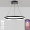 Подвесной светильник Natali Kovaltseva Oreol LED LAMPS 81295 - 1