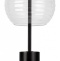 Настольная лампа декоративная Maytoni Rueca P060TL-L12BK - 0