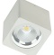 Накладной светильник Fiberli CH-SD220 12120101 - 0