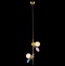 Подвесной светильник Loft it Matisse 10008/2P mult - 3