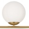 Настольная лампа декоративная Freya Blossom FR5259TL-01BS - 0