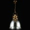 Подвесной светильник Aployt Darunia APL.629.16.01 - 4