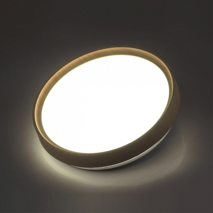 Настенно-потолочный светодиодный светильник Sonex Woodi 7603/EL - 1