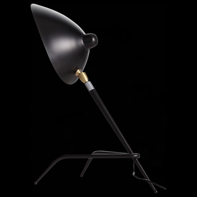 Настольная лампа декоративная ST-Luce Spruzzo SL305.404.01 - 1